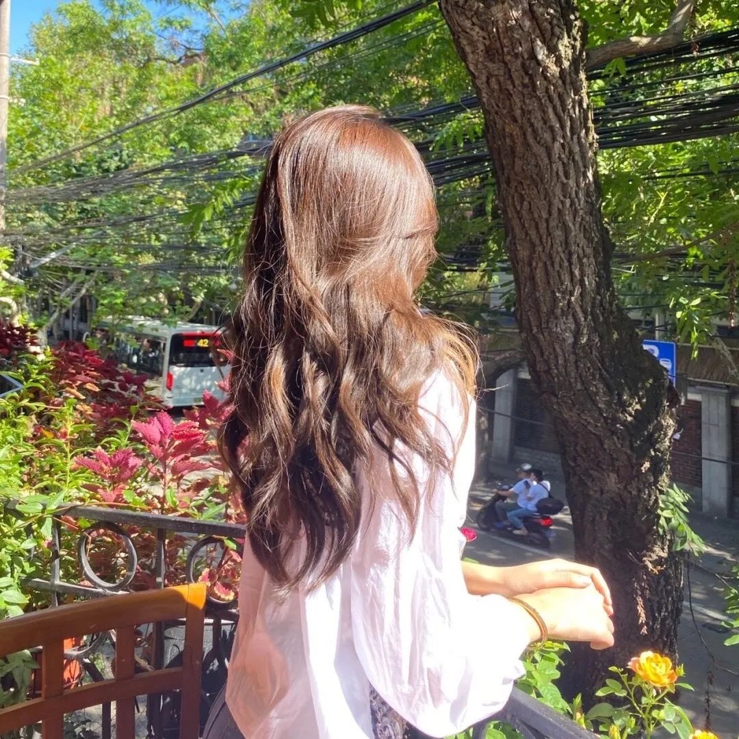 东风送春归
